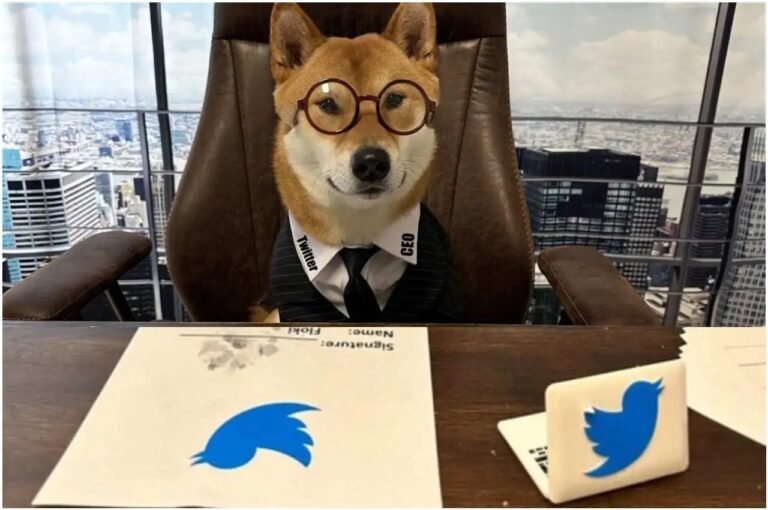 हर कुत्ते का दिन आता है, Twitter के CEO की कुर्सी पर बैठा कुत्ता,  जानिये क्यों !