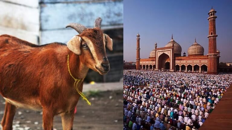 बकरीद पर क्यों दी जाती है कुर्बानी और क्या हैं इसके नियम?