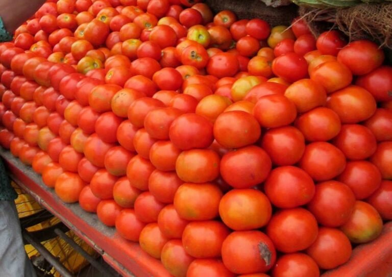 फतेहपुर सब्जी मंडी से चोरों ने चुराये 25 किलो टमाटर