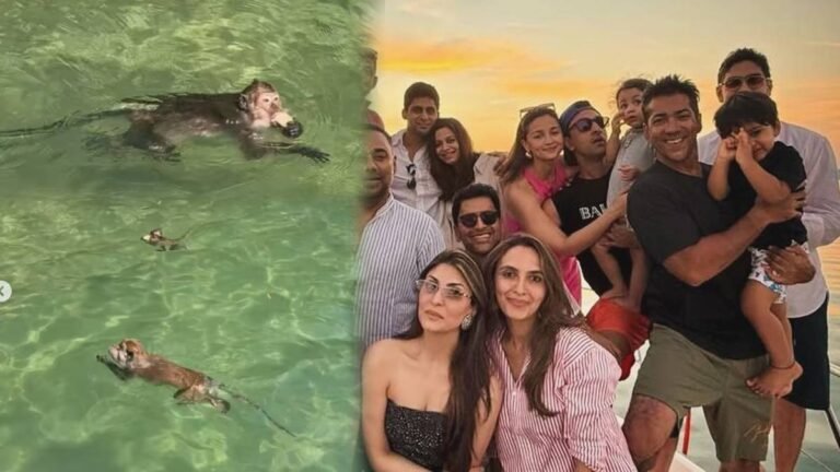 बंदरों की स्विमिंग ने खींचा ध्यान, छोटी राहा की मासूमियत और शाहीन भट्ट की पोस्ट ने जीता फैंस का दिल!