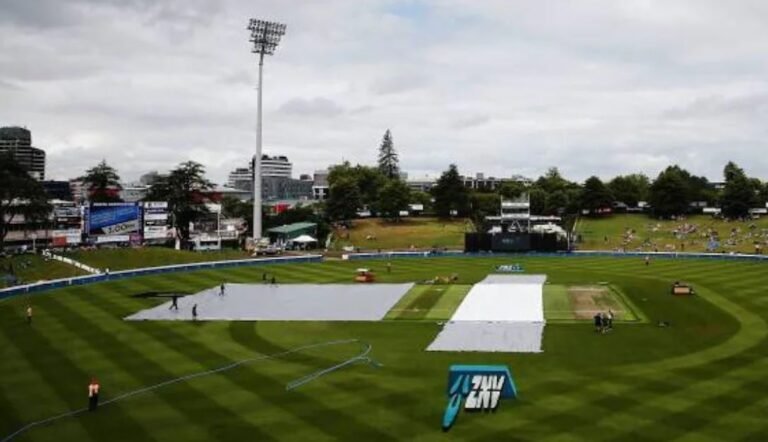 IND vs NZ 2nd ODI: क्या धुल जाएगा भारत-न्यूजीलैंड का दूसरा वनडे? हैमिल्टन में फिर बारिश शुरू