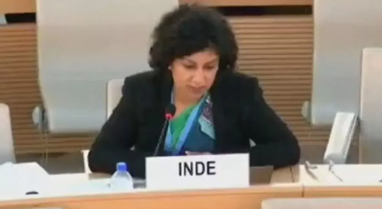 UN में भारत ने पाकिस्तान को लगाई लताड़, कहा- पहले रोटी का इंतजाम करो, फिर कश्मीर का सोचना