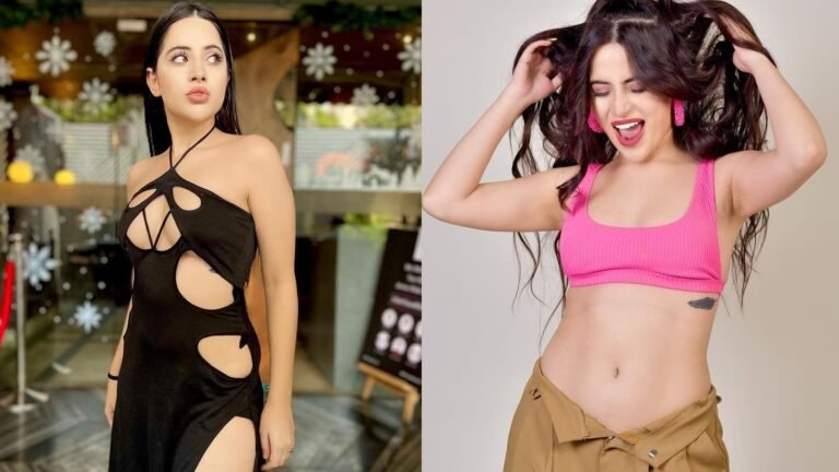 उर्फी जावेद को मिल गया है नया हमसफर, फैंस के दिल में मची खलबली, कौन है वो खुशनसीब ?