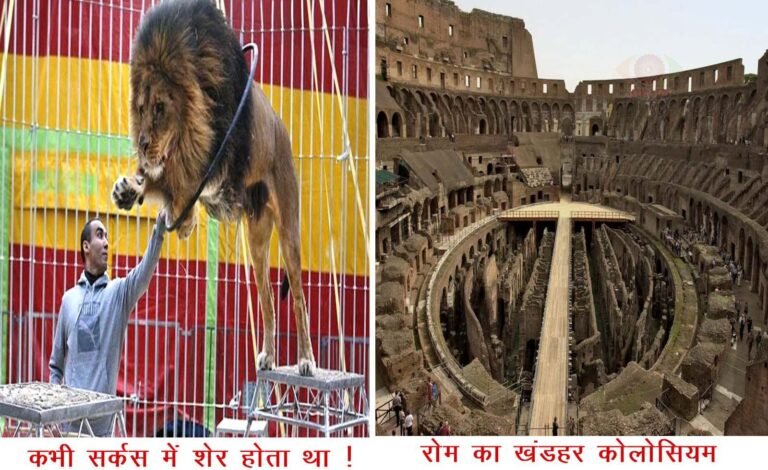 सर्कसी शेर की अब धुंधली याद ही है, न भालू रहा, न हाथी, बस घोड़ा बचा: के. विक्रम राव