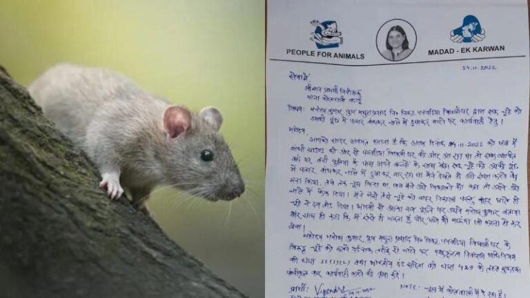 चूहे का मर्डर करना पड़ा भारी, थाने में FIR, 30 पन्नों की चार्जशीट दाखिल, हो सकती है इतनी सजा