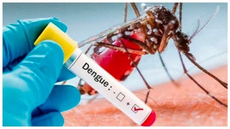 बारिश में बीमारियों ने दी दस्तक, बढ़ेंगे रोग, हो जाएं सावधान !