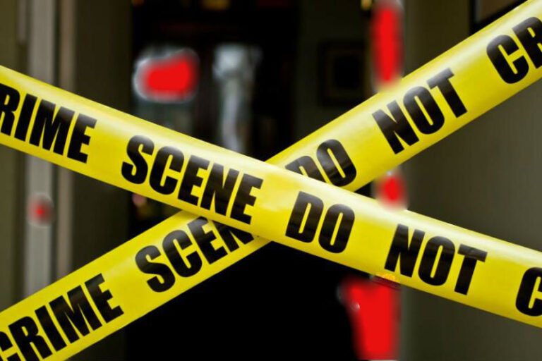 दिल्ली में डबल मर्डर , कैंची से गोदकर की हत्या !