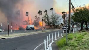 Maui Island Fire| Maui Island Fire News In Hindi| Current Fire News In Hindi