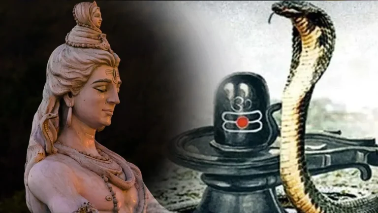 नागपंचमी के दिन करें ये काम, जल्द पूरी होगी हर मनोकामना !