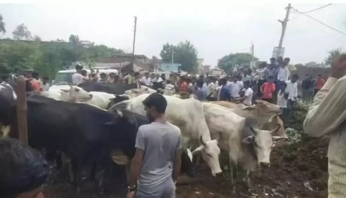 बरेली| Farmers Stopped The Animal Husbandry Minister| Farmer Troubled By Stray Cattle