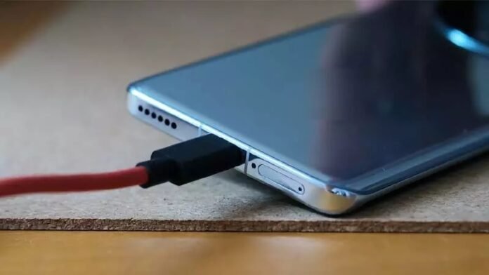 Mother and son died of electrocution while charging mobile | Sitapur News