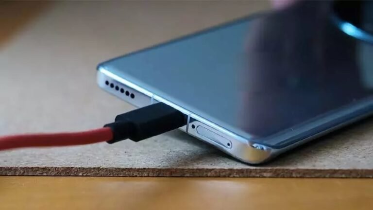 Mother and son died of electrocution while charging mobile | Sitapur News