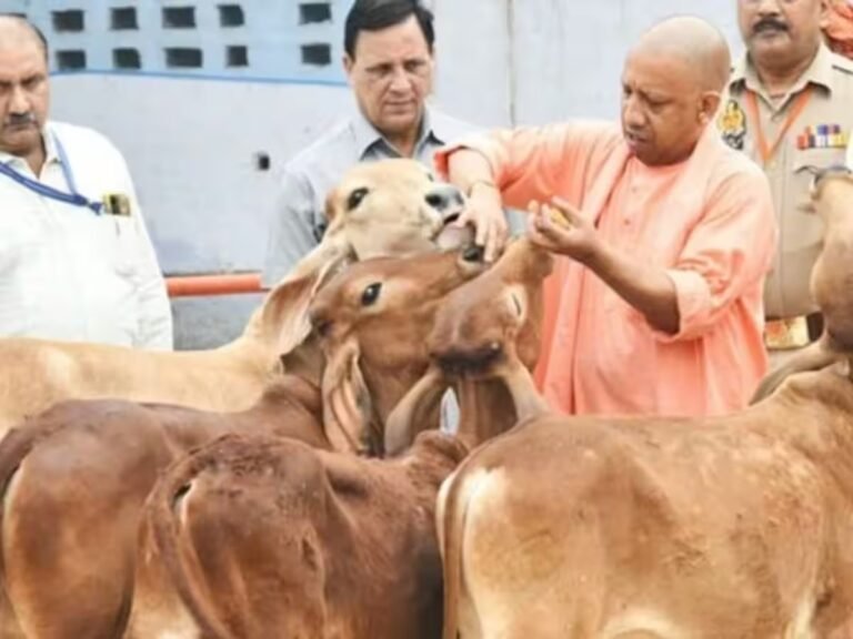 बरेली: पहली रोटी गाय, आटे का चोकर गाय को चलेगी मुहिम