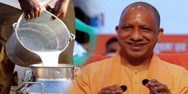 25 गायों की डेयरी की स्थापना पर 50 प्रतिशत अनुदान देगी योगी सरकार !