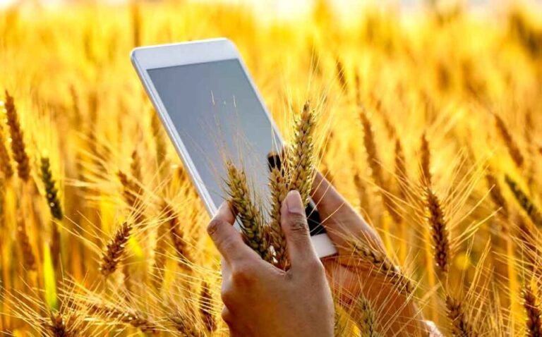 प्रदेश में पैदा की जा रही फसलों का पूरा डेटा तैयार करा रही योगी सरकार !