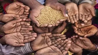 पांच किलो मुफ्त अनाज में डूबा देश – शकील अख्तर