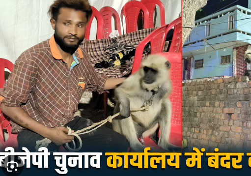 यूपी: बस्ती के BJP कार्यालय के बाहर तैनात हुआ हरियाणा का लंगूर, जानिए कितनी मिलती है सैलरी, क्या करता है