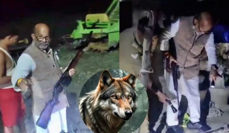  यूपी के बहराइच में क्यों आदमखोर हुए भेड़िए? अब तक 9 की मौत