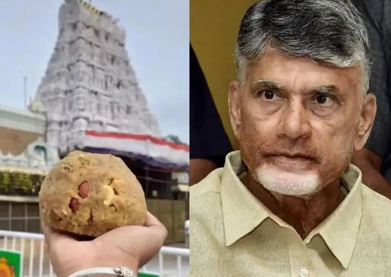 तिरुपति के लड्डुओं में चर्बी : एक्शन में सरकार; नड्डा बोले- मामले की करेंगे जांच, कोई नहीं बचेगा