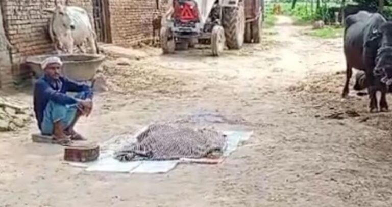 बहराइच में बाप बना आदमखोर : दरवाजे पर 6 टुकड़ों में काट डाला बेटी को, फिर…