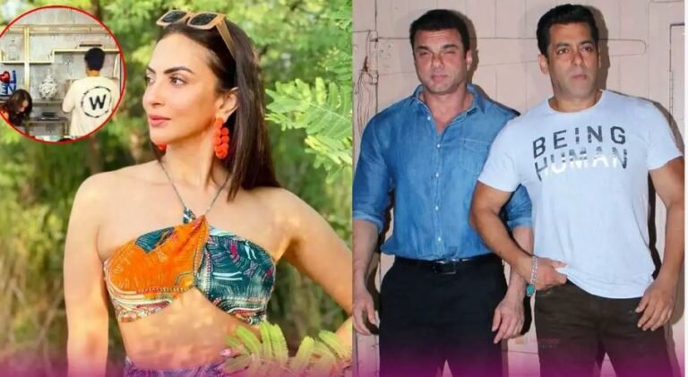 सलमान खान की एक्स भाभी सीमा सजदेह को अब किससे हुआ प्यार, किसे कर रहीं डेट?
