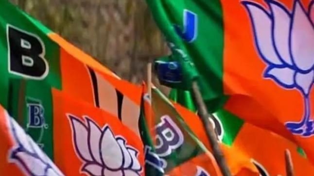 यूपी उपचुनाव: भाजपा ने जारी की सूची, करहल से अनुजेश यादव को टिकट, जानें अन्य सीटों पर कौन उम्मीदवार