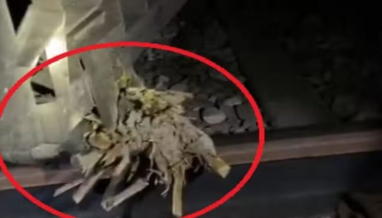 यूपी में एक और ट्रेन पलटने की साजिश, अब लखनऊ में ट्रैक पर रखा मिला ये सामान
