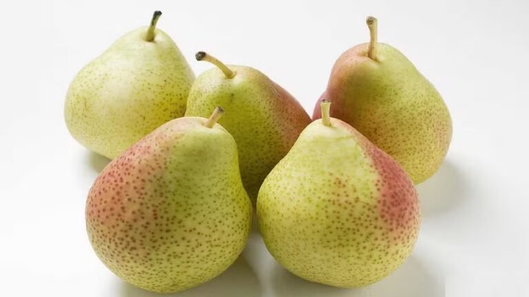 Health Care: रोज नाशपाती खाने से सेहत पर पड़ेगा यह असर, जानें इसके फायदे और नुकसान!