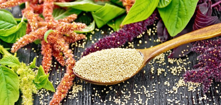 Amaranth Greens: हड्डियों को मजबूत और सेहतमंद बनाने वाला सुपरफूड, जानें इसके अद्भुत फायदे और रेसिपी!