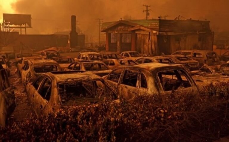 लॉस एंजिलिस के जंगलों में भीषण आग, हॉलीवुड के कई बड़े सितारों का घर खाक, ऑस्कर पर भी पड़ा असर