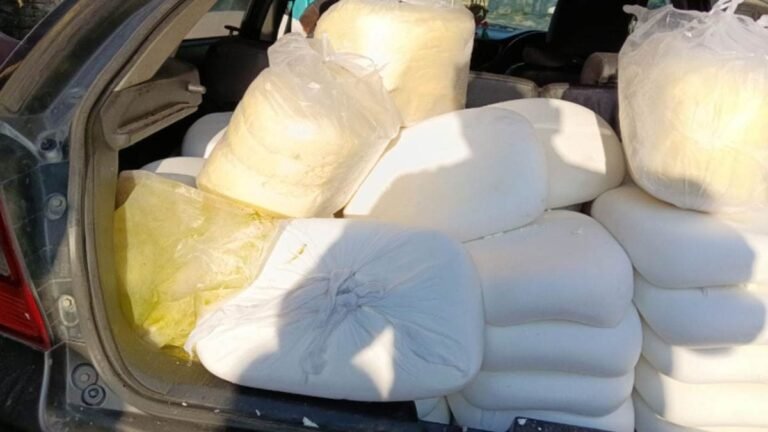 New Delhi: होली से पहले मिलावटखोरों पर कड़ी कार्रवाई, नकली खोआ और पनीर की सप्लाई पर लगाम