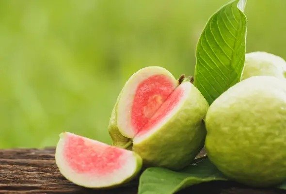 अमरूद: ठंडी तासीर और सेहत के लिए फायदों का खजाना! जानें इसके फायदे और सेवन के तरीके